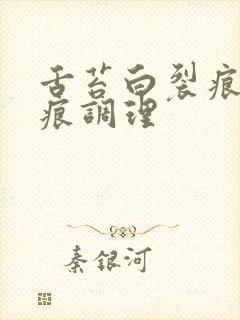 舌苔白裂痕有齿痕调理