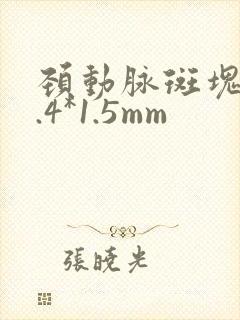 颈动脉斑块 7.4*1.5mm