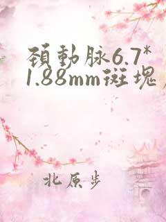 颈动脉6.7*1.88mm斑块严重