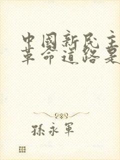 中国新民主主义革命道路是