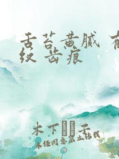 舌苔黄腻 有裂纹 齿痕