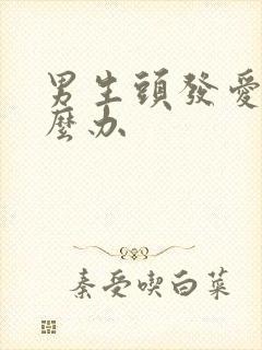 男生头发爱掉怎么办