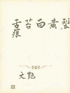 舌苔白黄裂纹齿痕