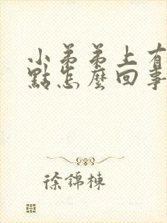 小弟弟上有小红点怎么回事