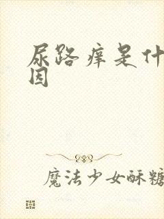 尿路痒是什么原因