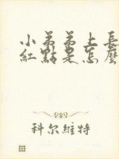 小弟弟上长了个红点是怎么回事