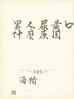 男人尿黄口臭是什么原因