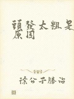 头发太粗是什么原因