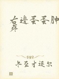 右边蛋蛋肿了蛋疼