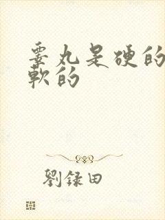 睾丸是硬的也是软的