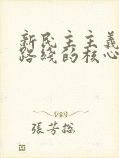 新民主主义革命路线的核心是( ).