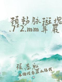颈动脉斑块12.7*2.mm算严重的吗?