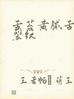 舌苔黄腻舌中有裂纹