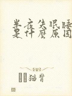 半夜失眠睡不着是什么原因