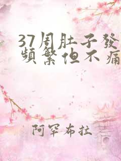 37周肚子发硬频繁但不痛