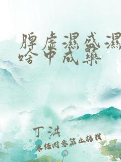 脾虚湿盛湿热吃啥中成药