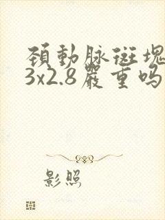颈动脉斑块9.3x2.8严重吗