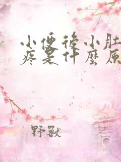 小便后小肚子胀疼是什么原因