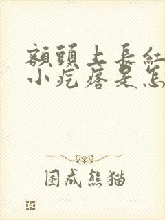 额头上长红色的小疙瘩是怎么回事