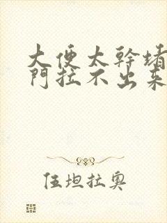 大便太干堵在肛门拉不出来怎么办