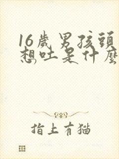 16岁男孩头晕想吐是什么原因