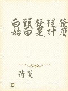 白头发从发梢开始白是什么原因