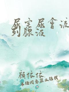 尿完尿会流出前列腺液