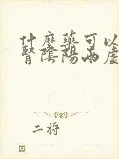 什么药可以调理肾阴阳两虚