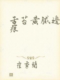 舌苔黄腻边有齿痕