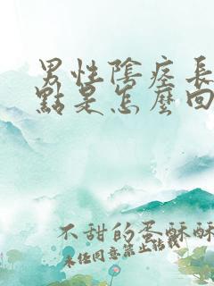 男性阴痉长小红点是怎么回事