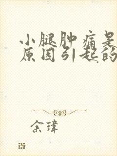 小腿肿痛是什么原因引起的