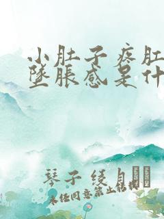 小肚子疼肛门有坠胀感是什么原因