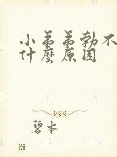 小弟弟勃不起来什么原因