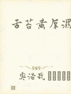 舌苔黄厚湿气重