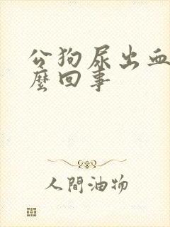 公狗尿出血是怎么回事