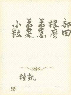 小弟弟根部长肉粒是怎么回事