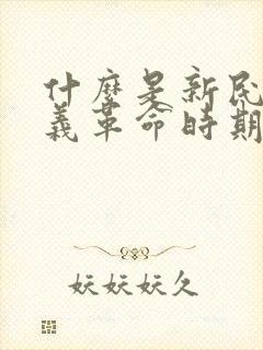 什么是新民主主义革命时期