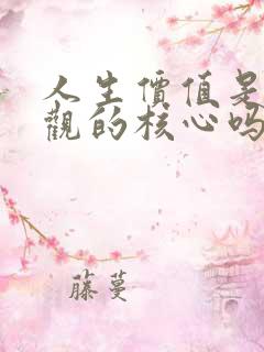 人生价值是人生观的核心吗