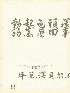 勃起龟头还是软的怎么回事