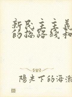 新民主主义革命的总路线和纲领