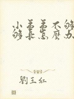 小弟弟不够硬不够长怎么办