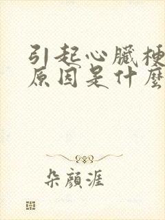 引起心脏梗塞的原因是什么