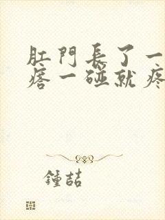 肛门长了一个疙瘩一碰就疼