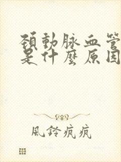 颈动脉血管斑块是什么原因造成的