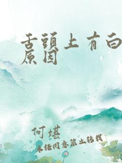 舌头上有白苔的原因