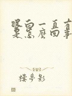 眼白一直有血丝是怎么回事