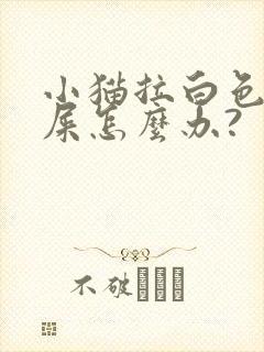 小猫拉白色的稀屎怎么办?