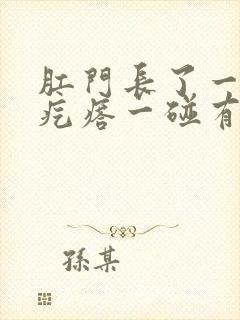 肛门长了一个小疙瘩一碰有点疼