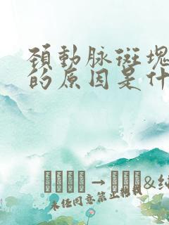 颈动脉斑块产生的原因是什么