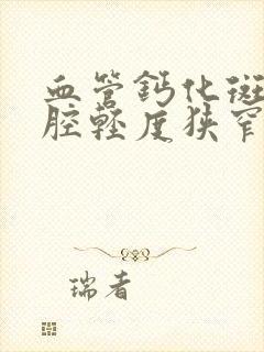 血管钙化斑块管腔轻度狭窄